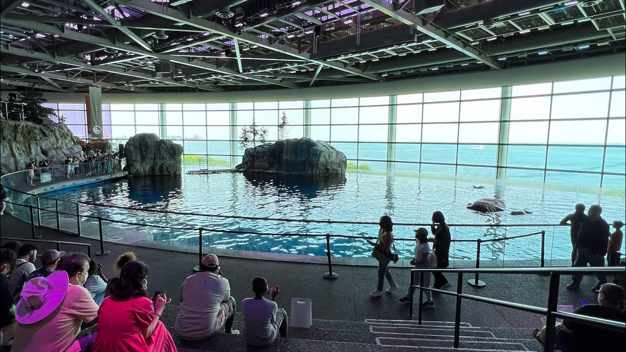 애벗 오션리움 (Abbott Oceanarium) 해양 포유류 관람 및 쇼